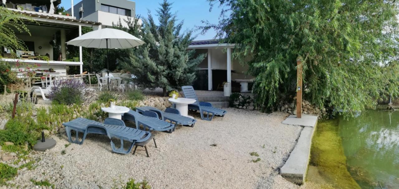 Vila Zuzette Hotel Констанца Екстериор снимка